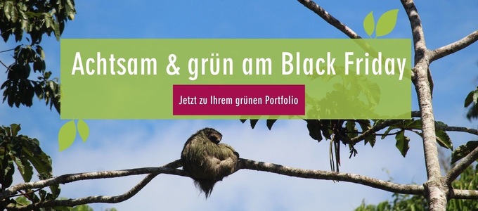 Mit der ForestFinance Capital zum grünen Portfolio