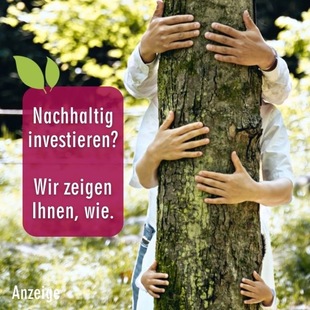 Nachhaltige Anlageberatung mit Finanzexperten