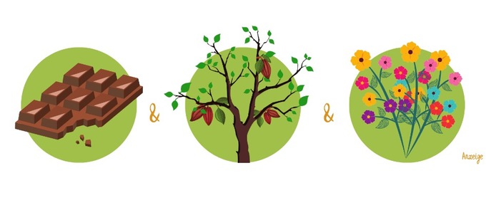 SchokoBaum