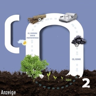 Grafik: Biokohlenstoff speichert dauerhaft bis zu 3,3 Tonnen CO2
