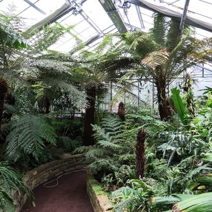 Botanischer Garten Bonn