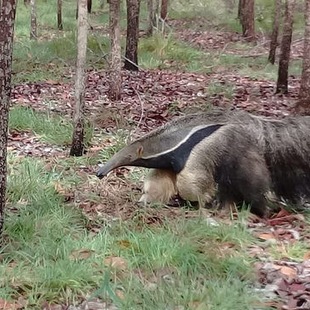 Biodiversitätsbericht