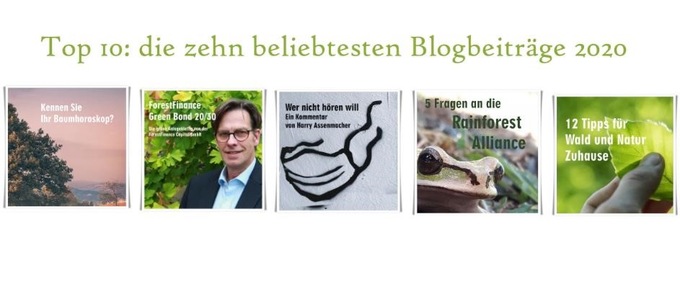 Unsere Top 10 Blogbeiträge des Jahres 2020