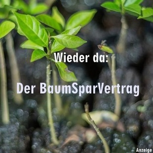 Wieder da: Der BaumSparVertrag