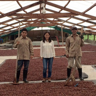Kakaoernte in Peru