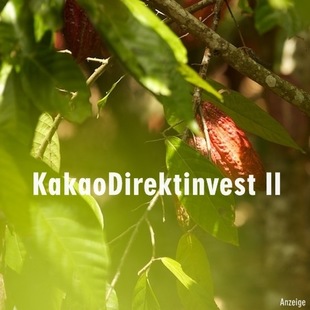 KakaoDirektinvest II