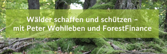 Wälder schaffen und schützen - mit Peter Wohlleben und ForestFinance