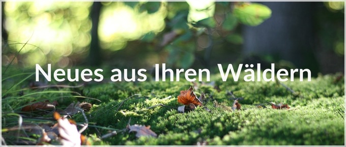 Neues aus Ihren Wäldern