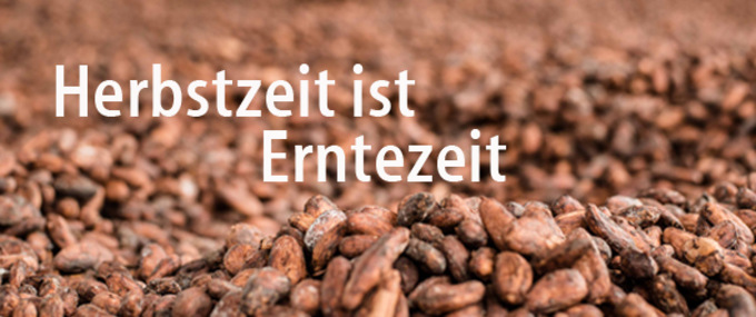 Herbstzeit ist Erntezeit