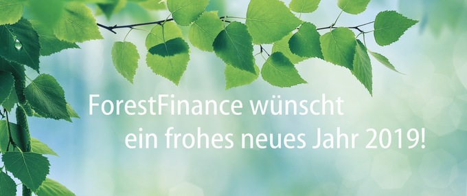 ForestFinance wünscht ein frohes neues Jahr 2019!