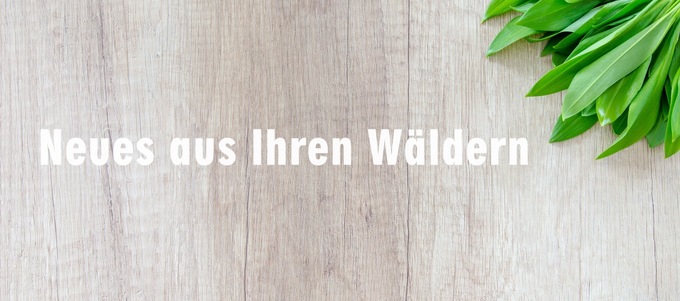 Neues aus Ihren Wäldern