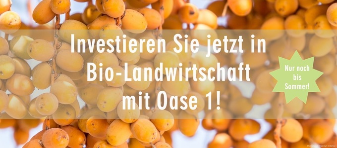 Investieren Sie jetzt in Bio-Landwirtschaft mit Oase 1!