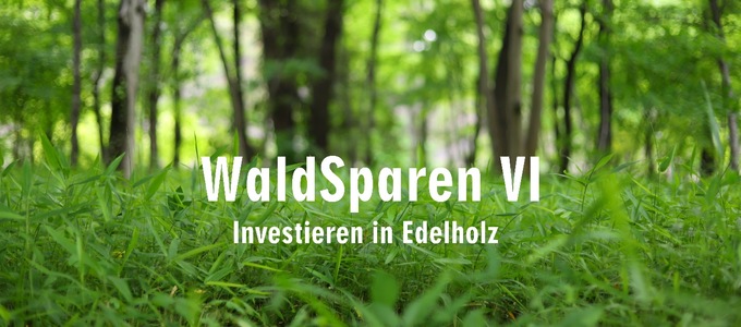 WaldSparen VI - Investieren in Edelholz