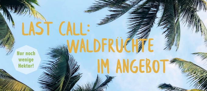 Last Call: WaldFrüchte im Angebot