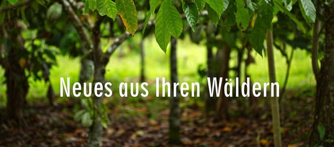 Neues aus Ihren Wäldern