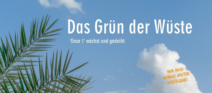 Das Grün der Wüste: Oase 1 wächst und gedeiht