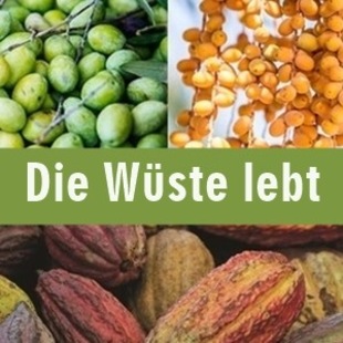 Die Wüste lebt