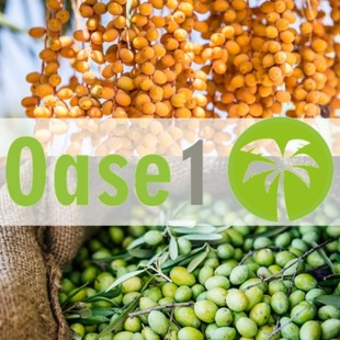 Oase 1
