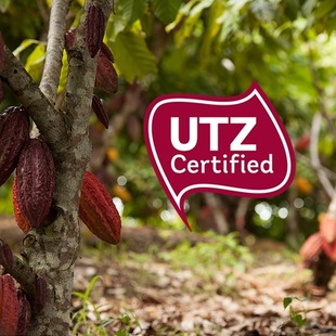 UTZ-Kakao