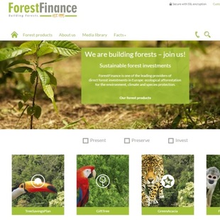 Screenshot engl. Website