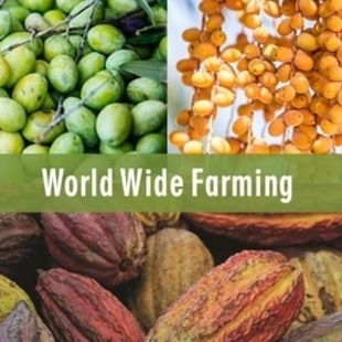 World Wide Farming