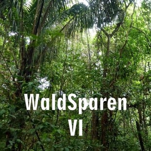 WaldSparen IV