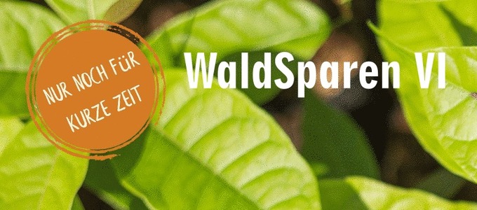 Nur noch für kurze Zeit: WaldSparen VI